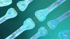 Animation neurons in the  a... | Stock Video | Pond5