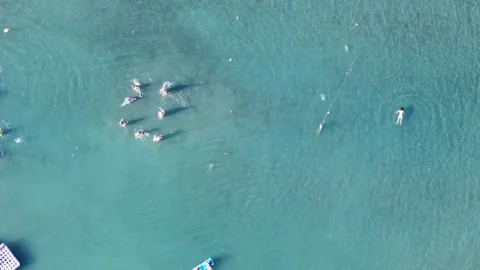Synchronized swim team performing routine in ocean Stock Footage 282701360