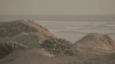 Synchronized waves on the beach sands Stockbeeldmateriaal 146456845