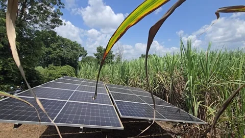 Synergistic Rural Infrastructure for Agrivoltaic Systems combining solar power g Vídeo Stock 345089378