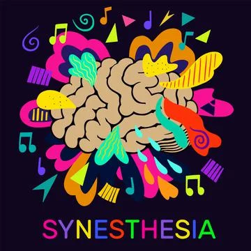Synesthesia. Bright concept of human brain, notes and colorful psychedelic Stock Illustration