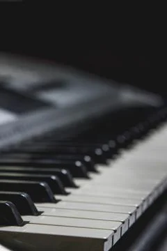 Synthesizer keys on a black background.  Stock Photos