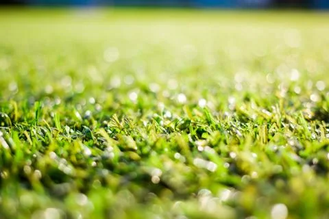 Synthetic grass Foto stock