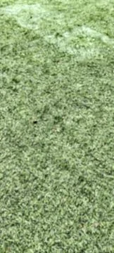 Synthetic grass Stock-Fotos