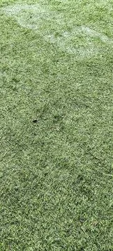Synthetic grass Foto stock