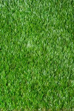 Synthetic grass vertically Stock Photos