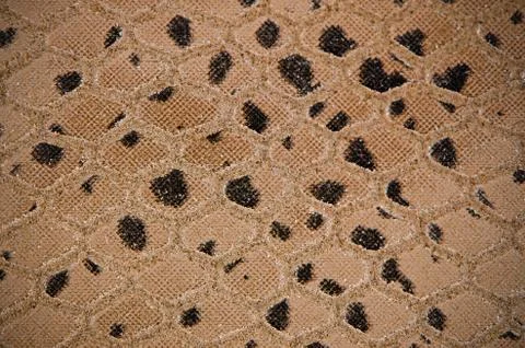 Synthetic leather texture Foto stock