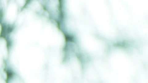 Synthetic Spider Web (Dense Focus) Stock-Footage 65024055