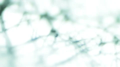 Synthetic Spider Web (Hard Focus) Stock-Footage 65024127