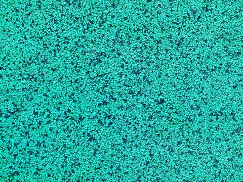 Synthetic surface background 스톡 사진