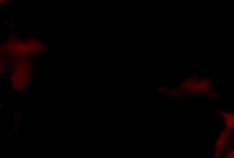 Synthetic Textures 2/MDST2 29 库存影片 65023