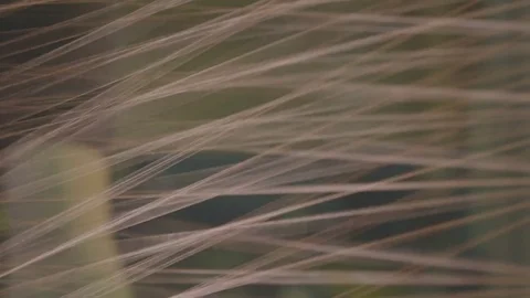 Synthetic Threads Move to Bobbin to Reinforce Tire Macro Stock Footage 84551096