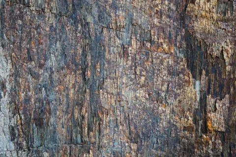 Syone texture Photos