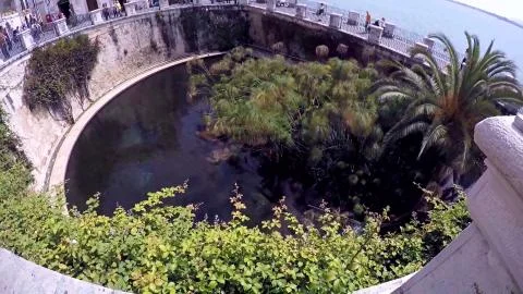 Syracuse (Sicily) Ciane Source Stock Photos