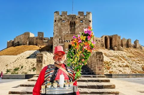 Syria. Aleppo. The Citadel Stock Photos
