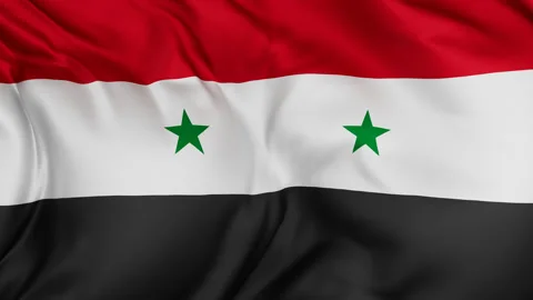 Syria cloth flag background loop Stock Footage 310850762