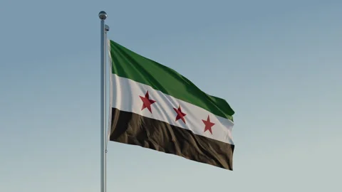Syria Damascus Green Flag loop Cinematic Realistic Waving Blue Sky Stock Footage 301721047