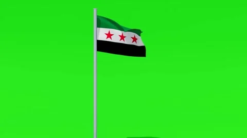 Syria Flag Animation on Green Screen Background Stock Footage 317552017