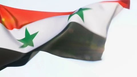 Syria Flag Flapping Stock Footage 118961192
