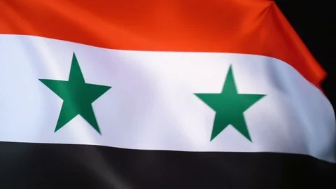 Syria Flag Flapping Stock Footage 118966444