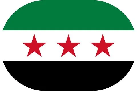 Syria flag in flat oval design Illustrazione stock