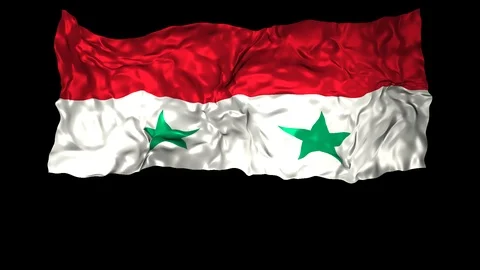 Syria flag Stock Footage 110858359