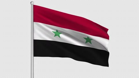 Syria Flag Stock Footage 208478521
