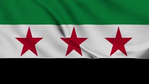 Syria Flag Loop Stock Footage 295742002
