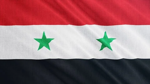 Syria flag is waving 3D animation. Video stock 101980056
