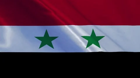 Syria National Waving Flag, Motion Animation of Syria National Flag Stock Footage 302873053