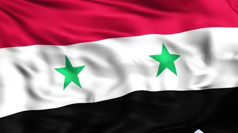 Syria Waving Flag Background Stock Footage 204135085