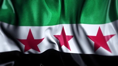 Syria WAVING FLAG Stock Footage 321016052