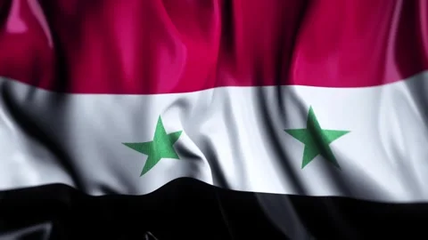 Syria  WAVING FLAG LOOP Stock Footage 321019725
