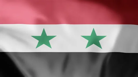Syria waving flag seamless loop animation footage 4k Stock Footage 256022472