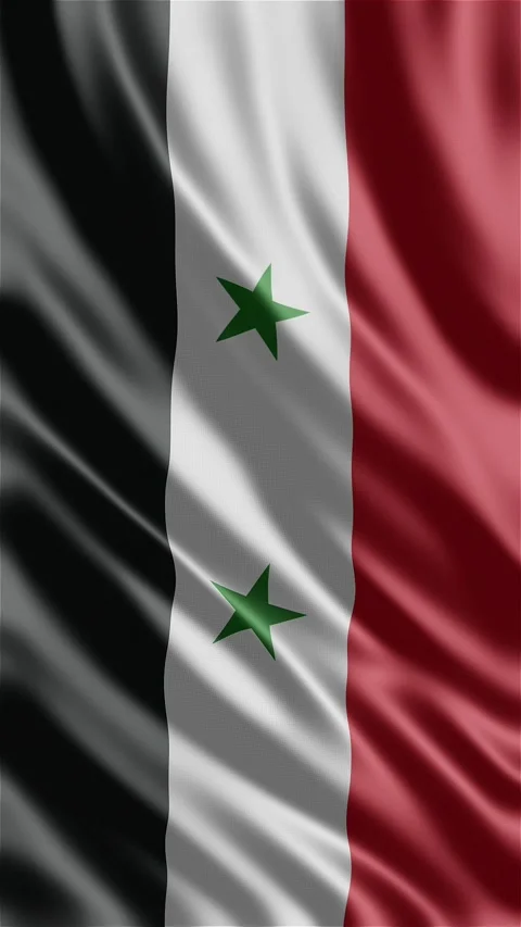 Syria waving flag video Stock-Footage 288004613