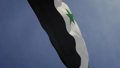 Syria Waving Realistic Flag Stock Footage 343394884