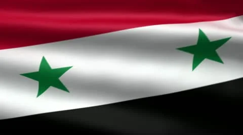Syrian flag Stock Footage 11618021