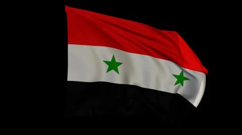 Syrian flag seamless loop 库存影片 34918069