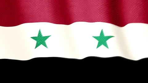 Syrian flag waving animation Stock Footage 77618403