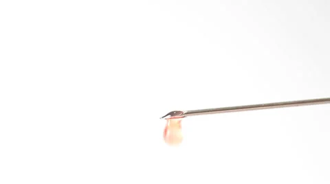 Syringe macro on white Stock Footage 35713556