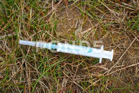 Syringe thrown addict in the middle of the forest Stock Photos