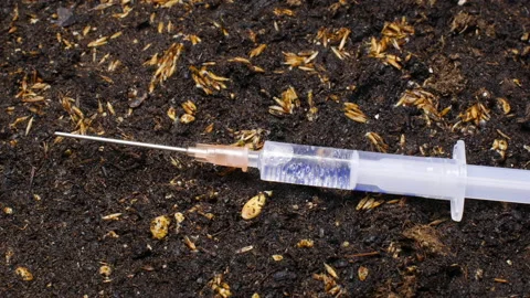 Syringe with vaccine on the ground while the grass grows. Video stock 159627097