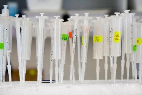 Syringes Stock Photos