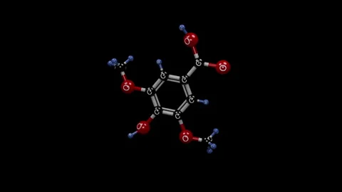 Syringic acid molecule. Stock Footage 329322840