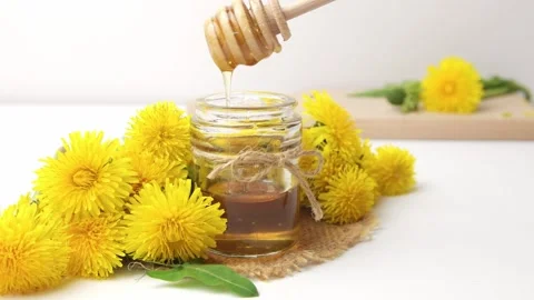 Syrup, dandelion honey, composition with fresh flowers Stock Footage 272230587
