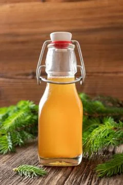 Syrup made from young spruce tips in a bottle Stock Photos
