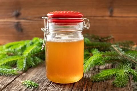 Syrup made from young spruce tips in a jar Stock Photos