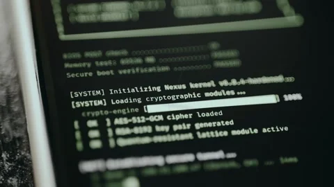 System boot, loading cryptographic modules Stock Footage 332047074