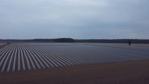 System of drip irrigation of fields Video stock 274713842