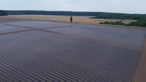 System of drip irrigation of fields Stock-Footage 274715259